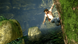UNCHARTED: DRAKE'S FORTUNE Sony Playstation 3 (Eng) 00301 фото 3