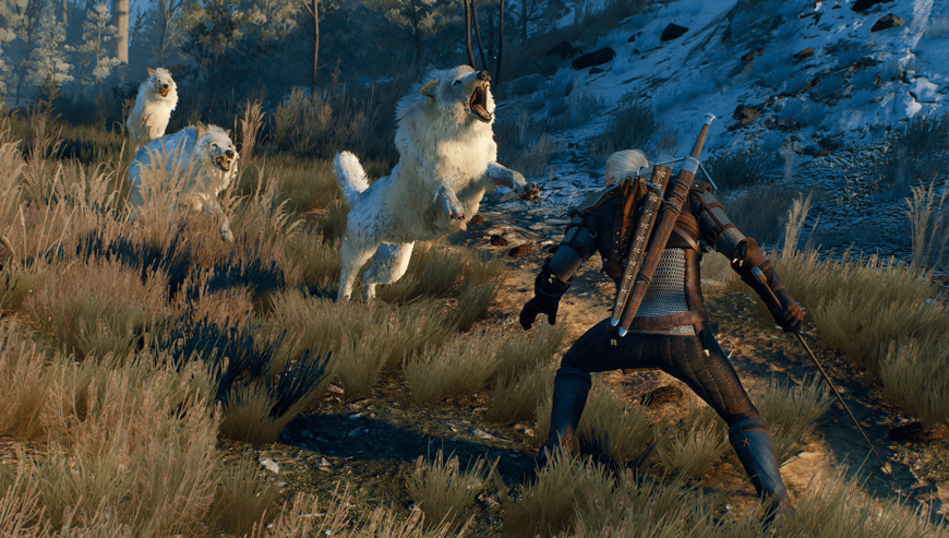 Sony Playstation 5 THE WITCHER 3: WILD HUNT (Русская озвучка) 00363 фото