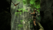 Гра PS3 Tomb Raider Underworld (Англійська версія) 00473 фото 2